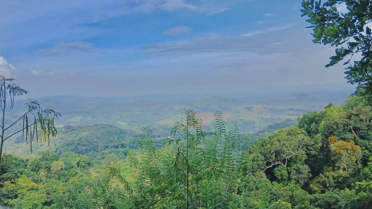 Ella Day Tour image 3