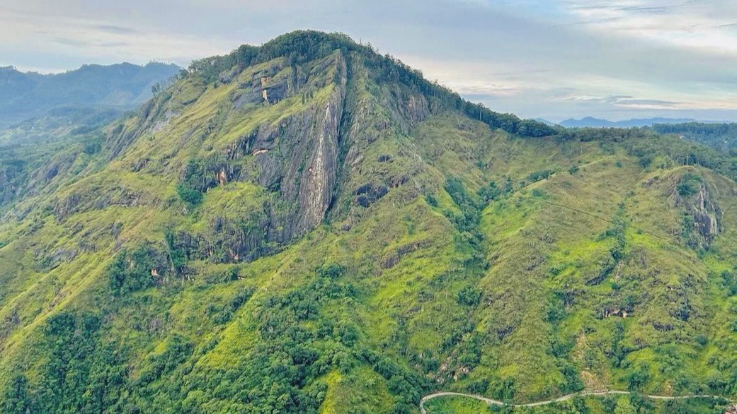 Ella Day Tour image 4