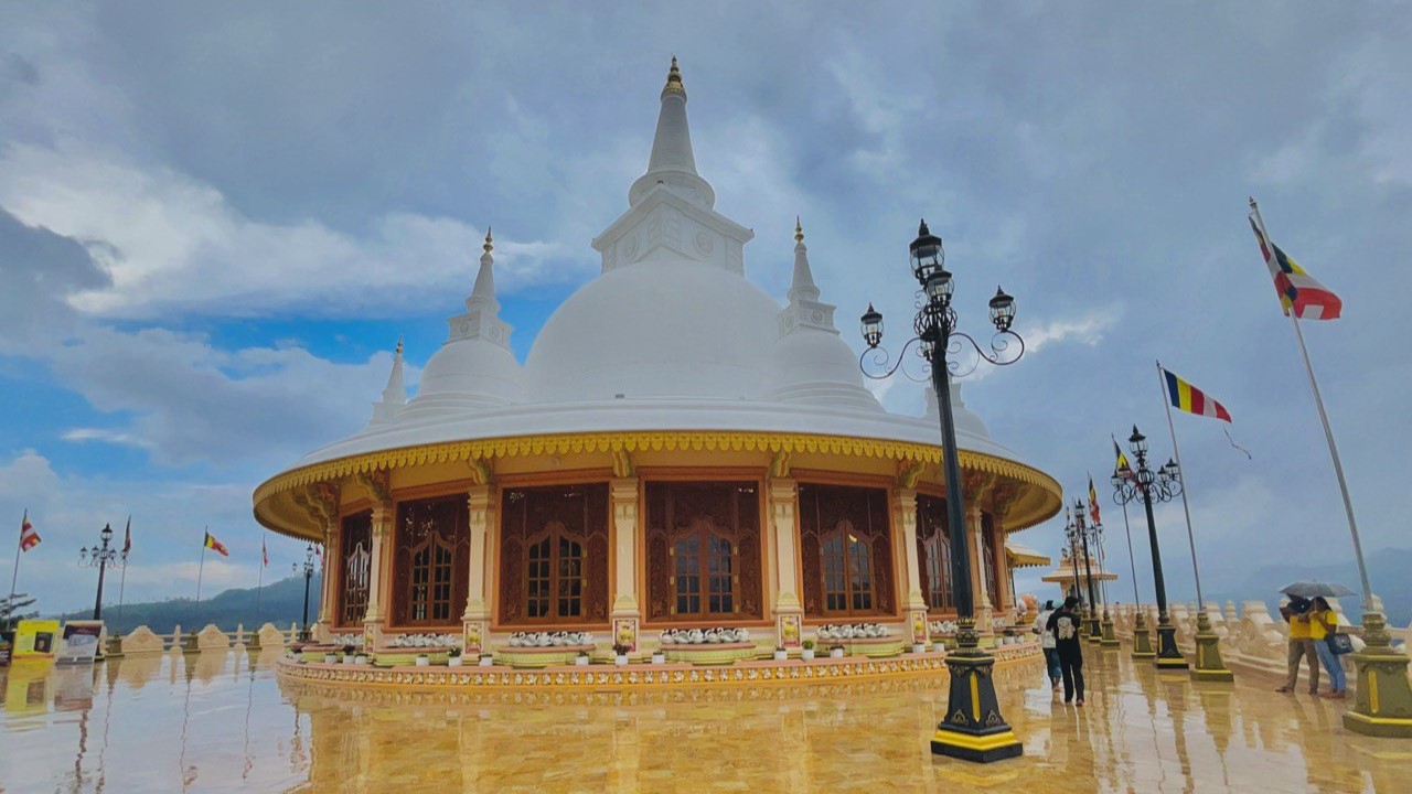 Ella Day Tour image 1